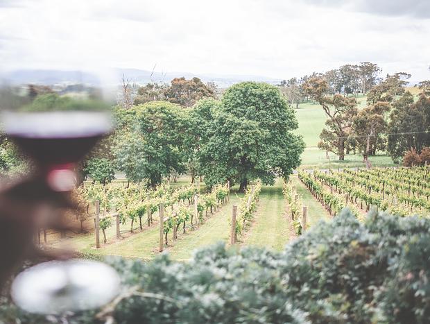 Photo 5 for Brandy Creek Estate