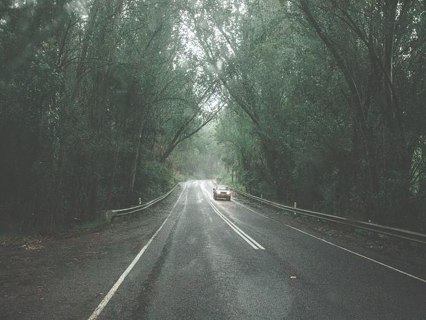 Photo 3 for Green hills of West Gippsland