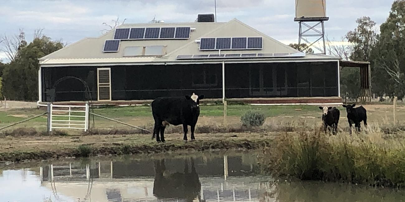 Relaxing OffGrid Farm Stay Farm for Rent in Burraboi, Outback NSW, NSW, AU Riparide