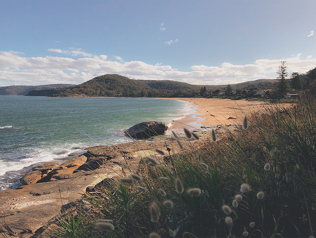 Photo 3 for Hiking from Pearl Beach to Patonga