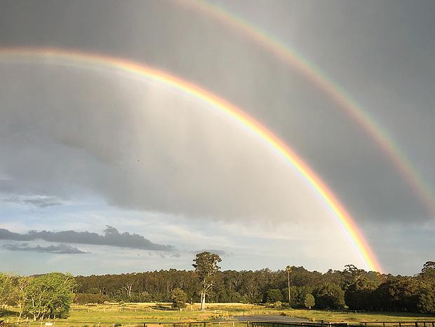 Photo 17 for Mollies Farm - Farm Stay in the Dooralong Valley