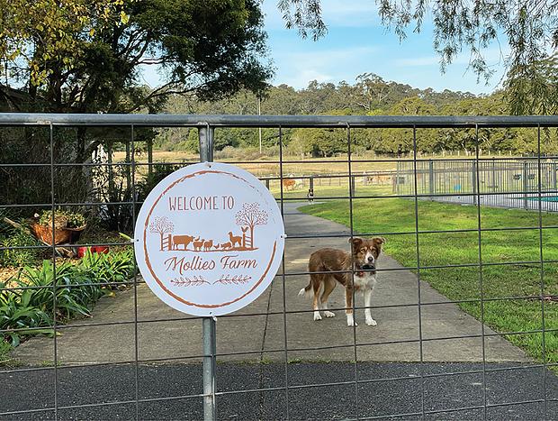 Photo 15 for Mollies Farm - Farm Stay in the Dooralong Valley