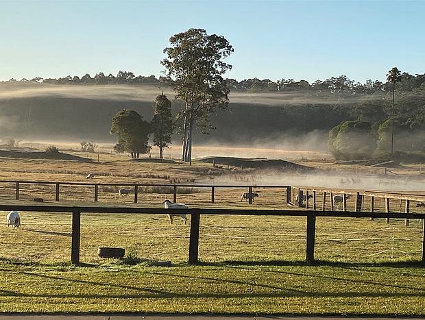 Photo 13 for Mollies Farm - Farm Stay in the Dooralong Valley