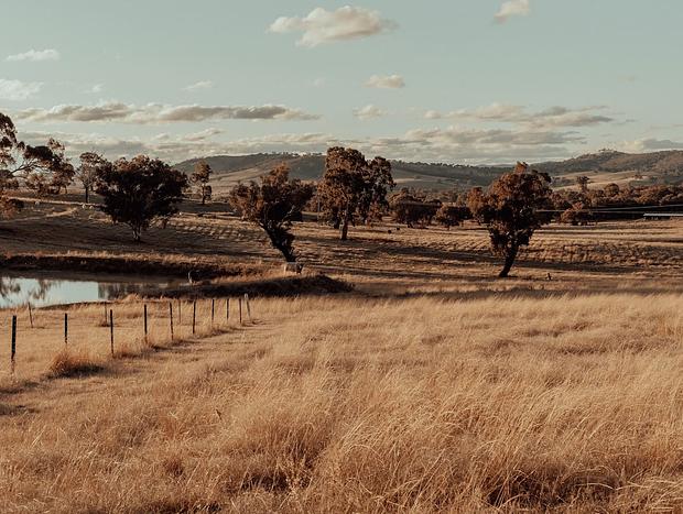 Photo 20 for The Red Hill Nest - A Place to Relax and Unwind
