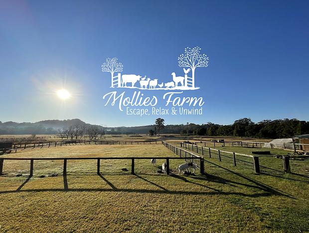 Photo 4 for Mollies Farm - Farm Stay in the Dooralong Valley