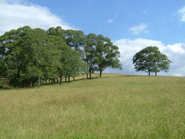 Photo 37 for Hermitage Cottage Farm Kurrajong