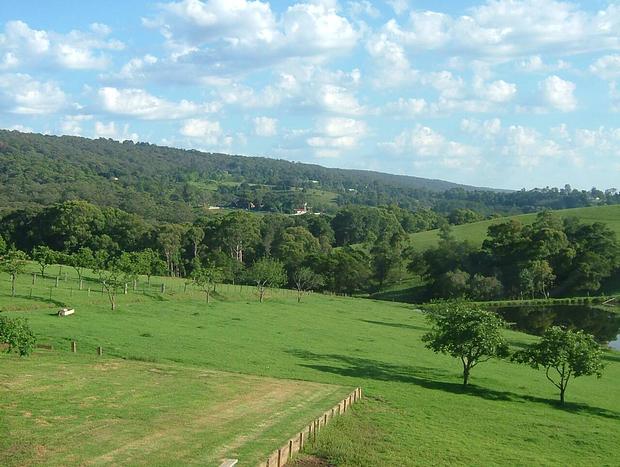 Photo 38 for Hermitage Cottage Farm Kurrajong