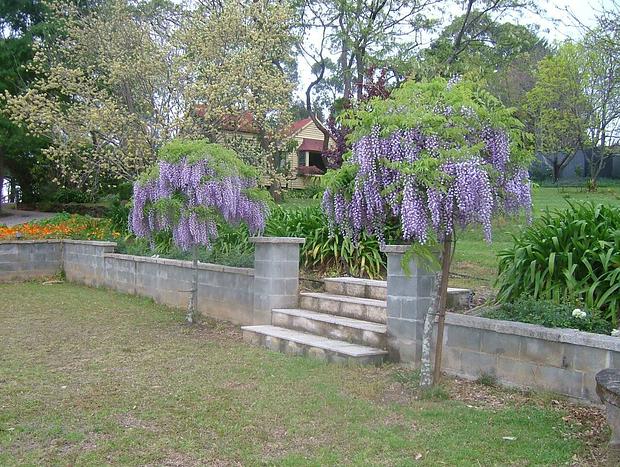 Photo 36 for Hermitage Cottage Farm Kurrajong