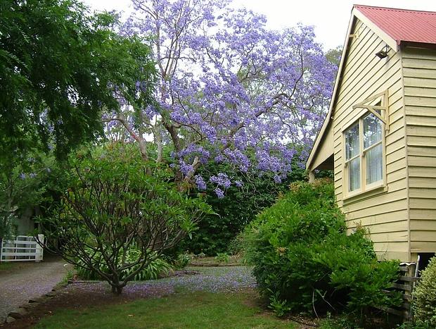 Photo 21 for Hermitage Cottage Farm Kurrajong