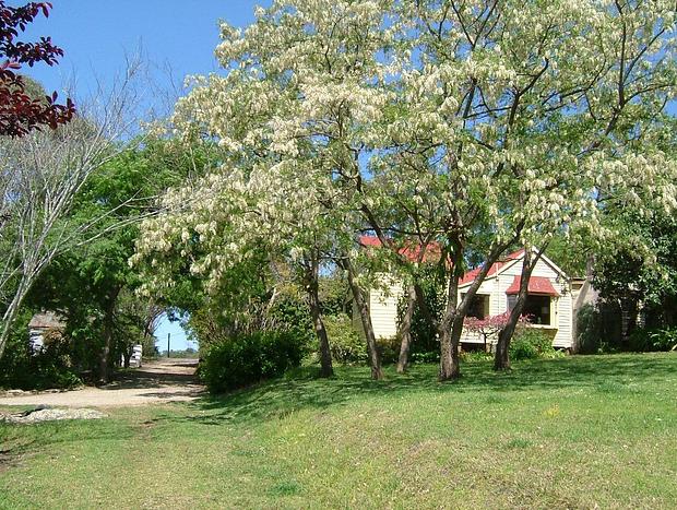 Photo 33 for Hermitage Cottage Farm Kurrajong
