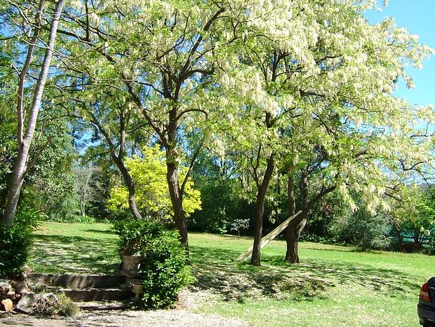 Photo 34 for Hermitage Cottage Farm Kurrajong