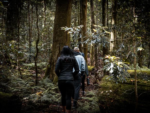 Photo 1 for Explore The Magical Burraga Swamp