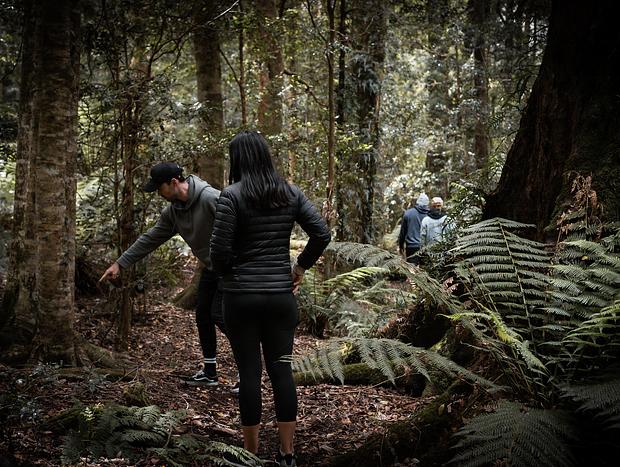 Photo 2 for Explore The Magical Burraga Swamp