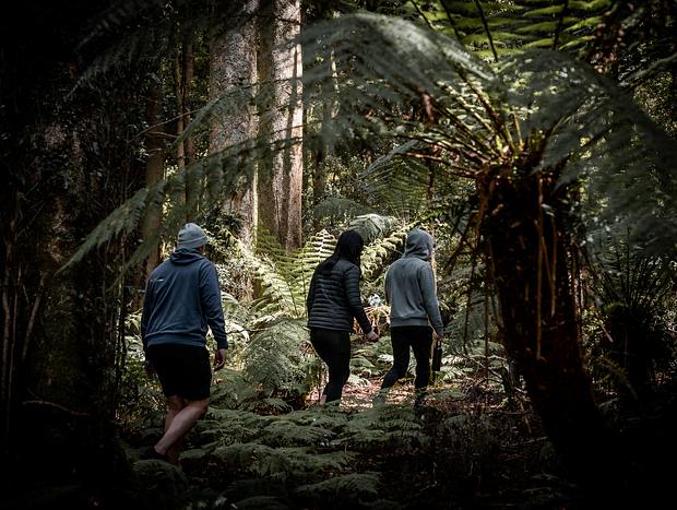 Photo 4 for Explore The Magical Burraga Swamp