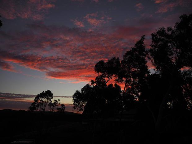 Photo 24 for Vineyard and farm-stay in the Yarra Valley Region (A2)