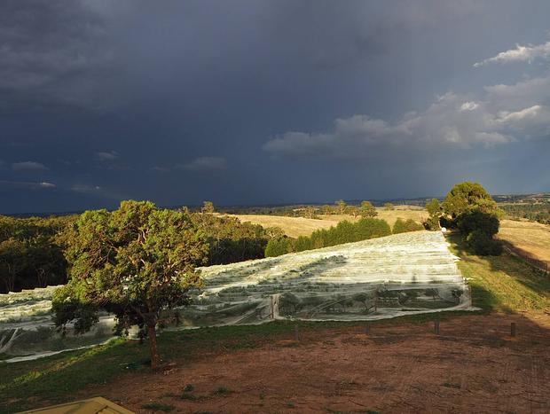 Photo 19 for Vineyard and farm-stay in the Yarra Valley Region (A2)