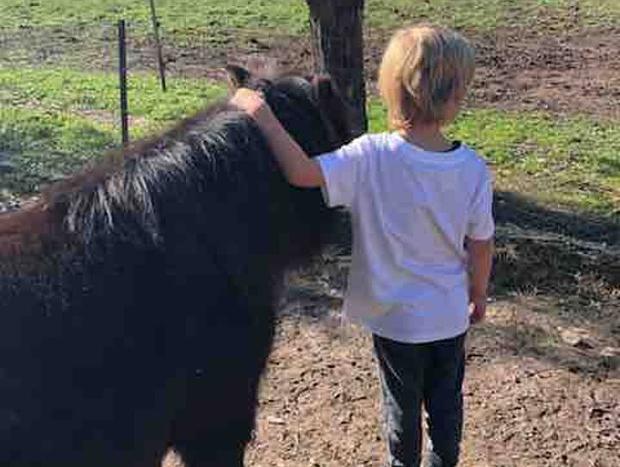 Photo 21 for Pyrenees Farm Stay B&B - Pet Friendly - Entire Cabin