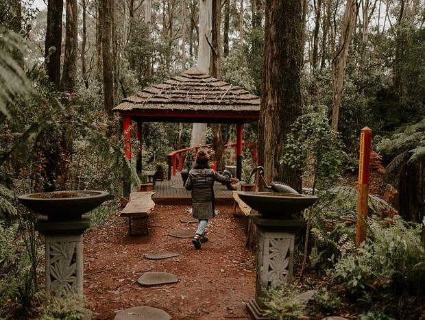 Photo 5 for Nestled Among the Forest