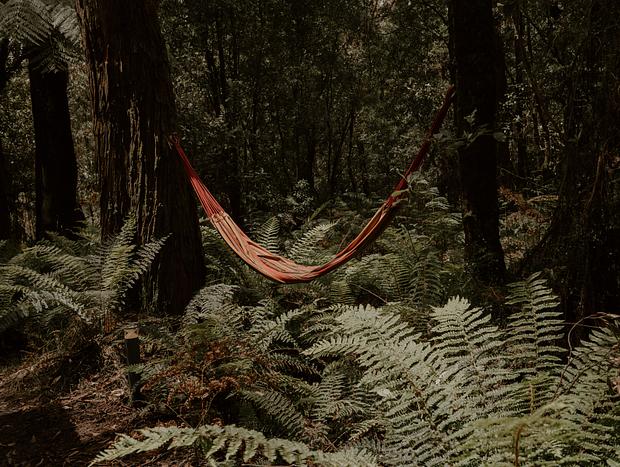 Photo 8 for Nestled Among the Forest