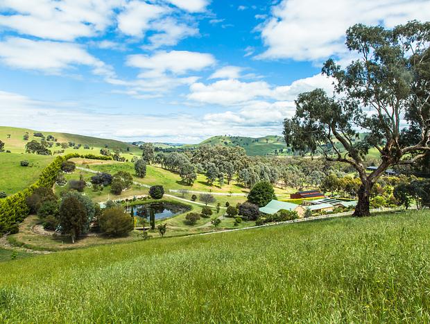Photo 10 for Daisy Hill Lodge - Bonnie Doon Lodge 3