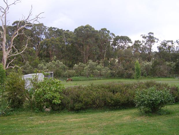 Photo 11 for Cosy Tiny Farm Stay near Loch & Rail Trail