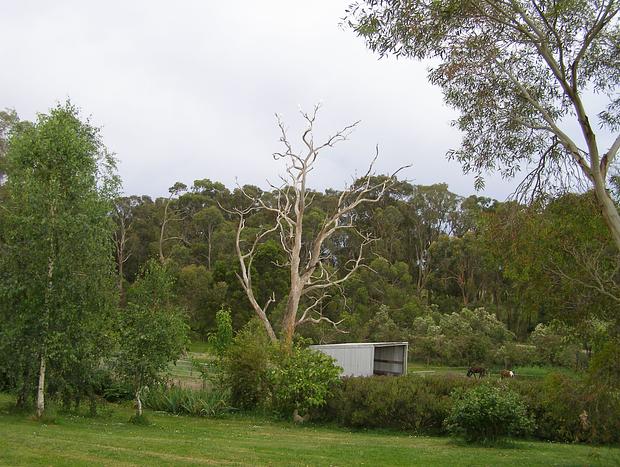 Photo 12 for Cosy Tiny Farm Stay near Loch & Rail Trail