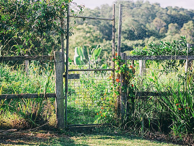 Photo 30 for Bellingen Farm House: WeilHouse Living