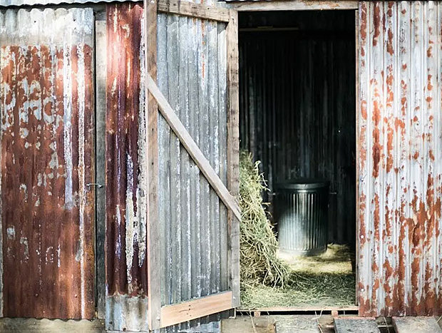 Photo 17 for Bellingen Vintage Farmstay: WeilHouse Living