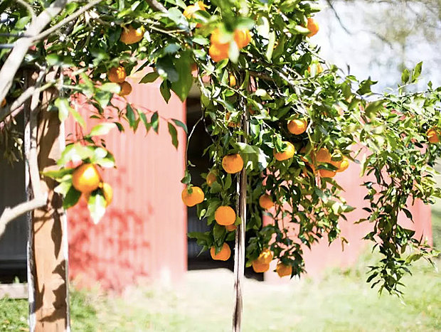 Photo 14 for Bellingen Vintage Farmstay: WeilHouse Living