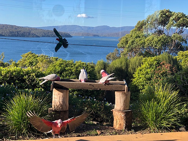 Photo 10 for Adobe Abodes - Rustic Coastal Mudbrick Abode 6
