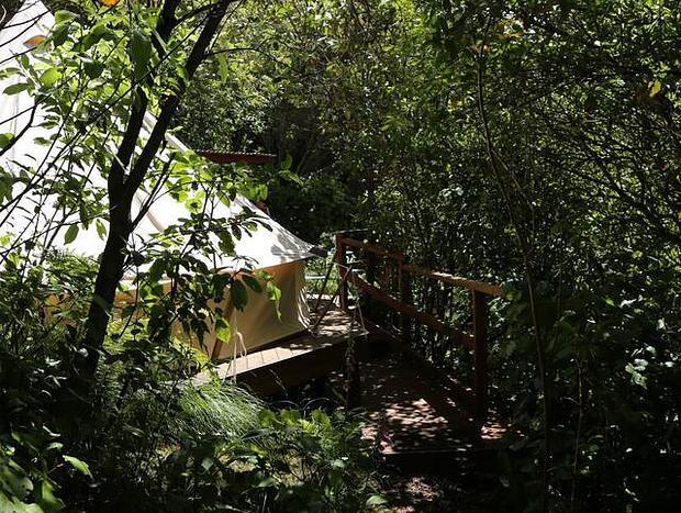 Photo 11 for Bliss Retreat - Kereru Site