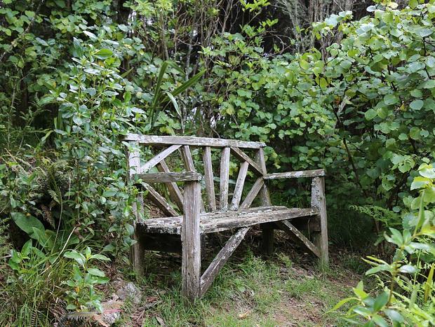 Photo 15 for Bliss Retreat - Kereru Site