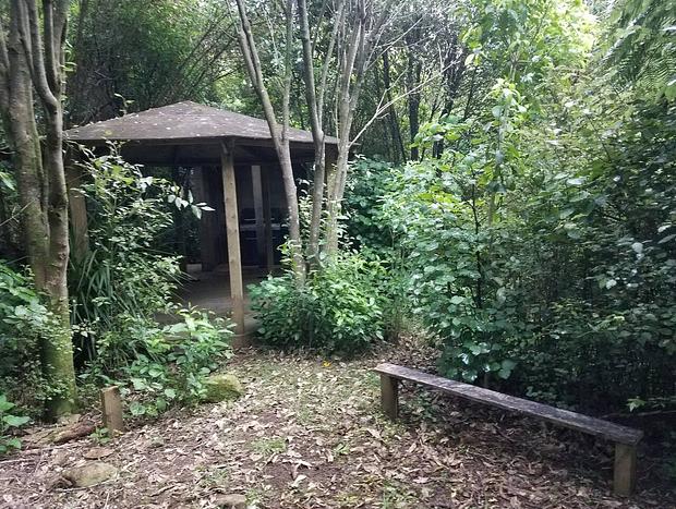 Photo 16 for Bliss Retreat - Kereru Site