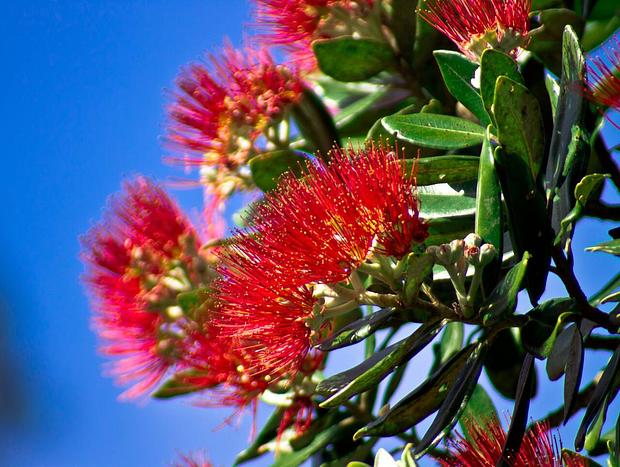 Photo 17 for Tairua Beach Holiday Home - Bliss