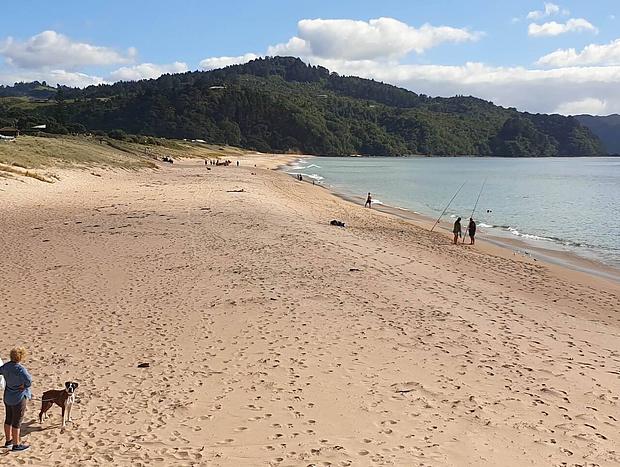Photo 30 for Tairua Beach Holiday Home - Bliss