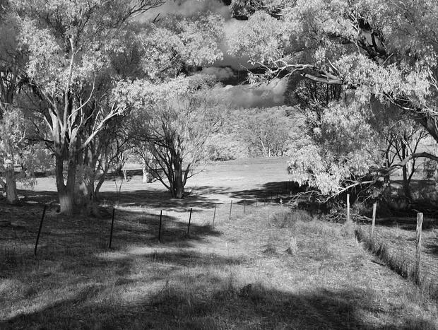 Photo 16 for Wildwood Guesthouse - Naturally Superb