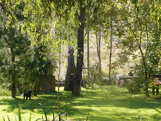 Photo 18 for Wildwood Guesthouse - Naturally Superb