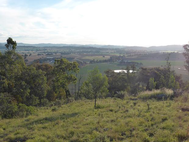 Photo 19 for Wildwood Guesthouse - Naturally Superb