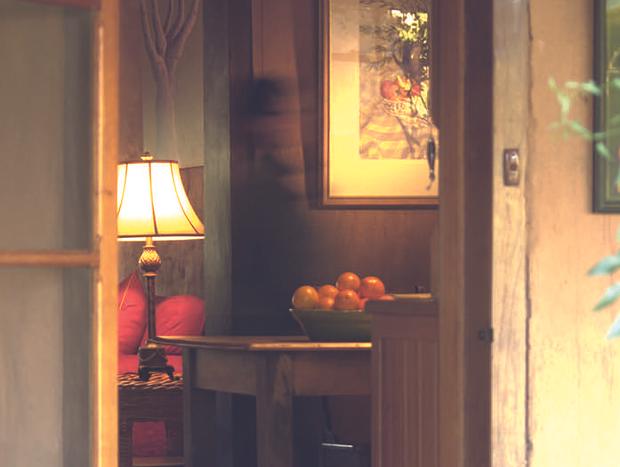 Photo 9 for Wildwood Guesthouse - Naturally Superb