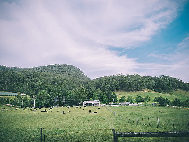 Photo 32 for The Shed at Broger's End Kangaroo Valley