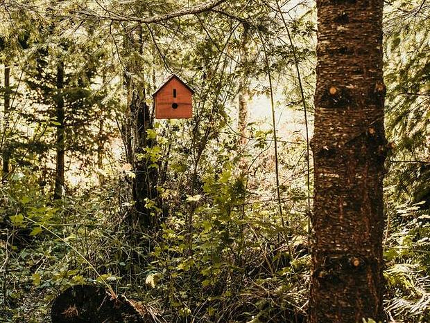Photo 24 for Wrigley - Brand New Tiny House in the Woods