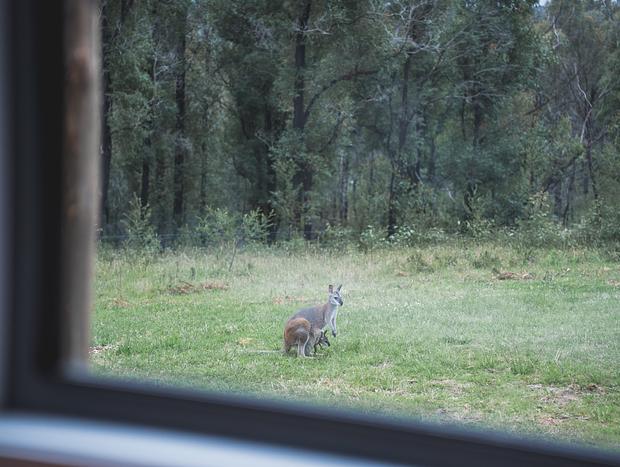 Photo 6 for Tranquility in the Bush