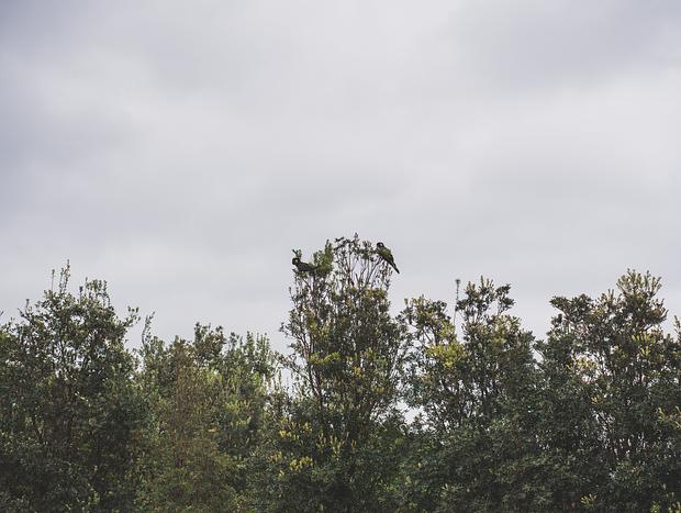 Photo 6 for undefined