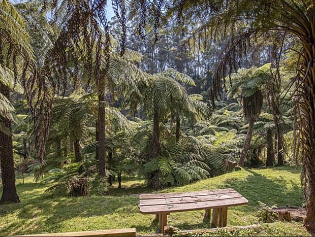 Photo 17 for Treetops at Warburton Three bedroom plus studio (4th bedroom)