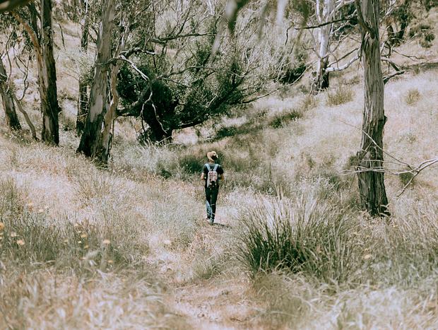 Photo 2 for Down the Sheep Trail