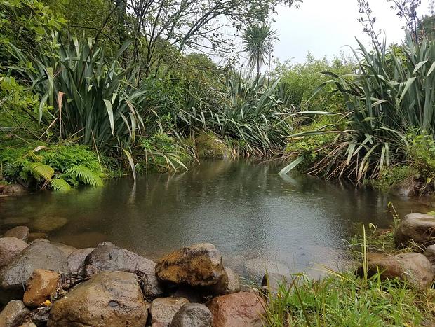 Photo 15 for Bliss Retreat - Tui Site