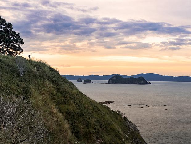 Photo 1 for Te Pare Point Views