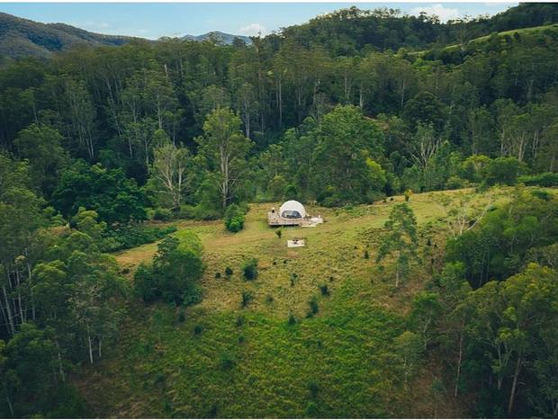 Photo 10 for Forest Dome at Nature Domes - The Ultimate Outdoors Experience
