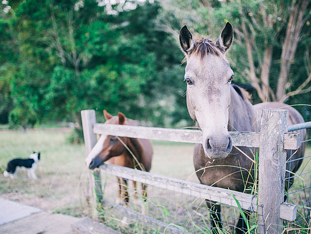 Photo 34 for Bellingen Farm House: WeilHouse Living