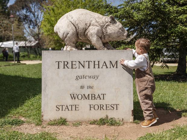 Photo 1 for Trentham Village